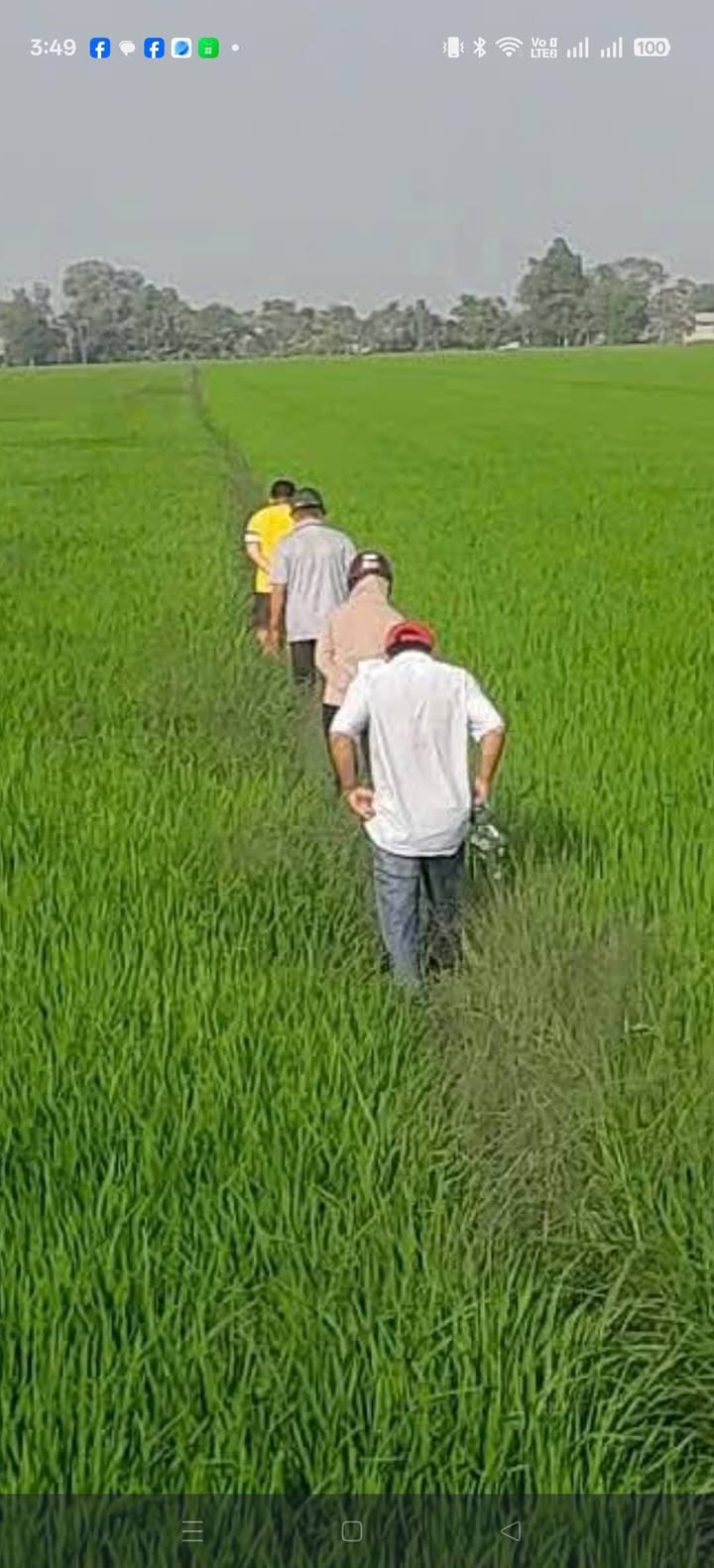 Đất Ruộng Tỉnh lộ 845 Tháp Mười 35.000m² - Giá tốt hiếm có!