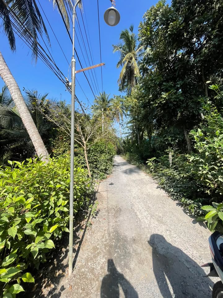 Bán Đất Thổ Cư Xã Phú An, Cai Lậy - 420m² Giá 1.45 Tỷ