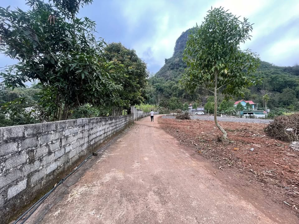 Đất nền Tây Phong, Cao Phong 430m² - Tiềm năng tăng giá vượt trội!