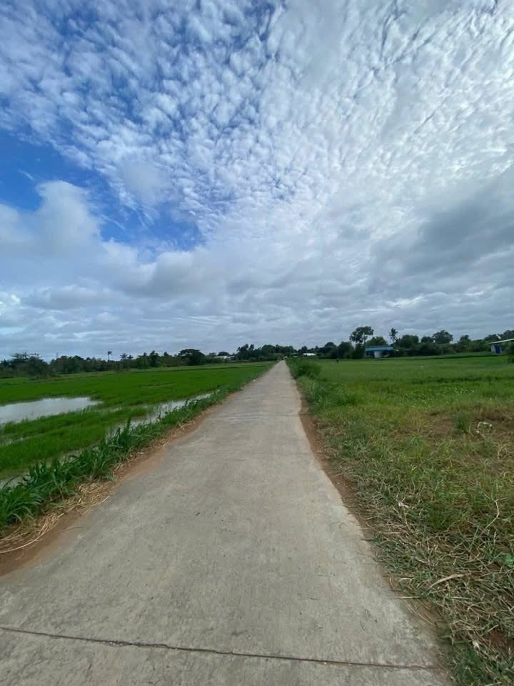 Đất Nền Mặt Tiền An Bình Tây, Bến Tre - 960m² Sẵn Sổ Thổ Cư, Giá 1.7 Tỷ