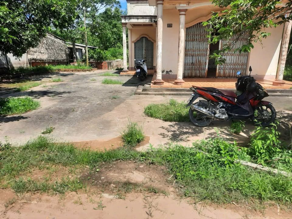 Đất nền Cầu Ngang 720m² giá 1.008 tỷ - Mặt tiền rộng, sẵn thổ cư!