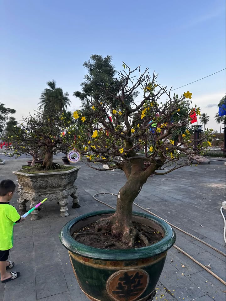 Đất Nền Điện Thắng Trung 100m² - Sổ Hồng Riêng, Giá 2.3 Tỷ