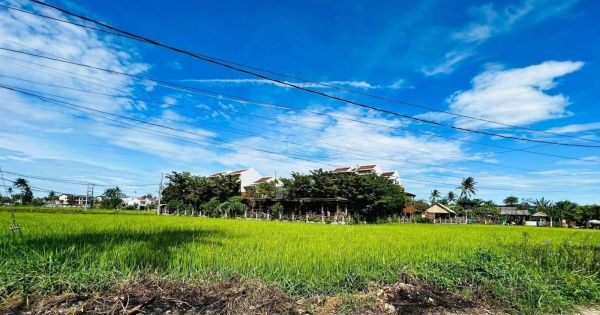 Đất nền Cẩm Châu Hội An 100m² - View đồng lúa, tiềm năng homestay 3.x tỷ