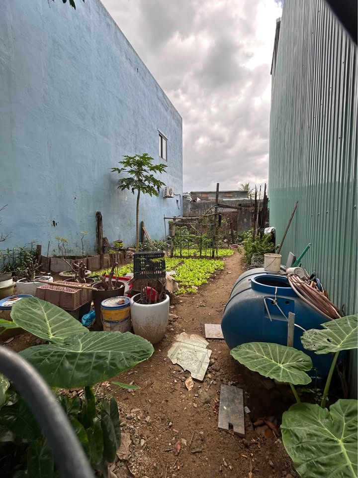 Đất mặt tiền Trường Chinh Cẩm Lệ 70m² giá 3 tỷ - Vị trí đắc địa!