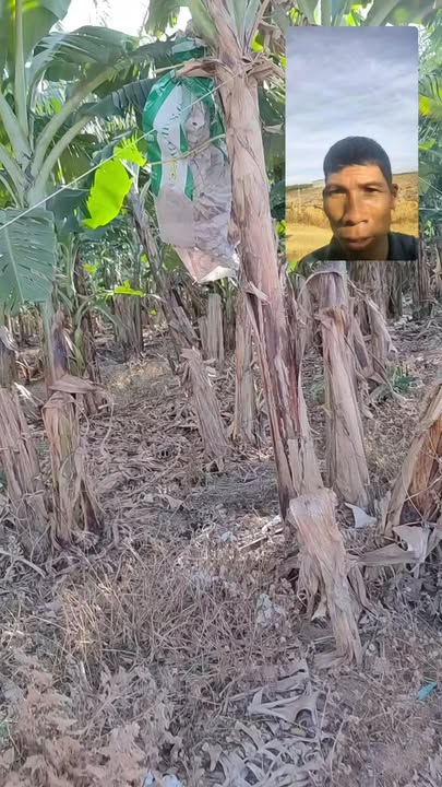 Đất vườn Ia Lâu, Gia Lai 19ha - Sinh thái xanh, Sổ đỏ sẵn sàng!