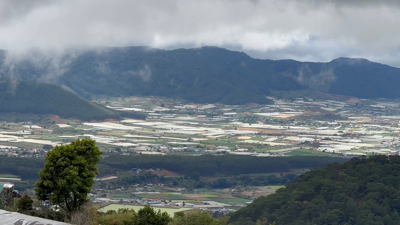 Bán đất Trạm Hành Đà Lạt 1000m² giá 1.7 tỷ - View săn mây cực phẩm!