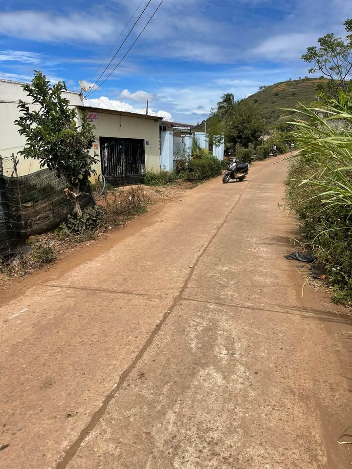 Bán Gấp Đất Vườn Tân Hội, Đức Trọng 6120m² - Sổ Hồng Riêng, Giá 2.2 Tỷ