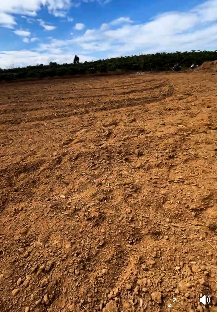 Bán Đất Phú Hội Đức Trọng 2ha Giá 11 Tỷ - Đầu Tư Dài Hạn Giá Tốt!