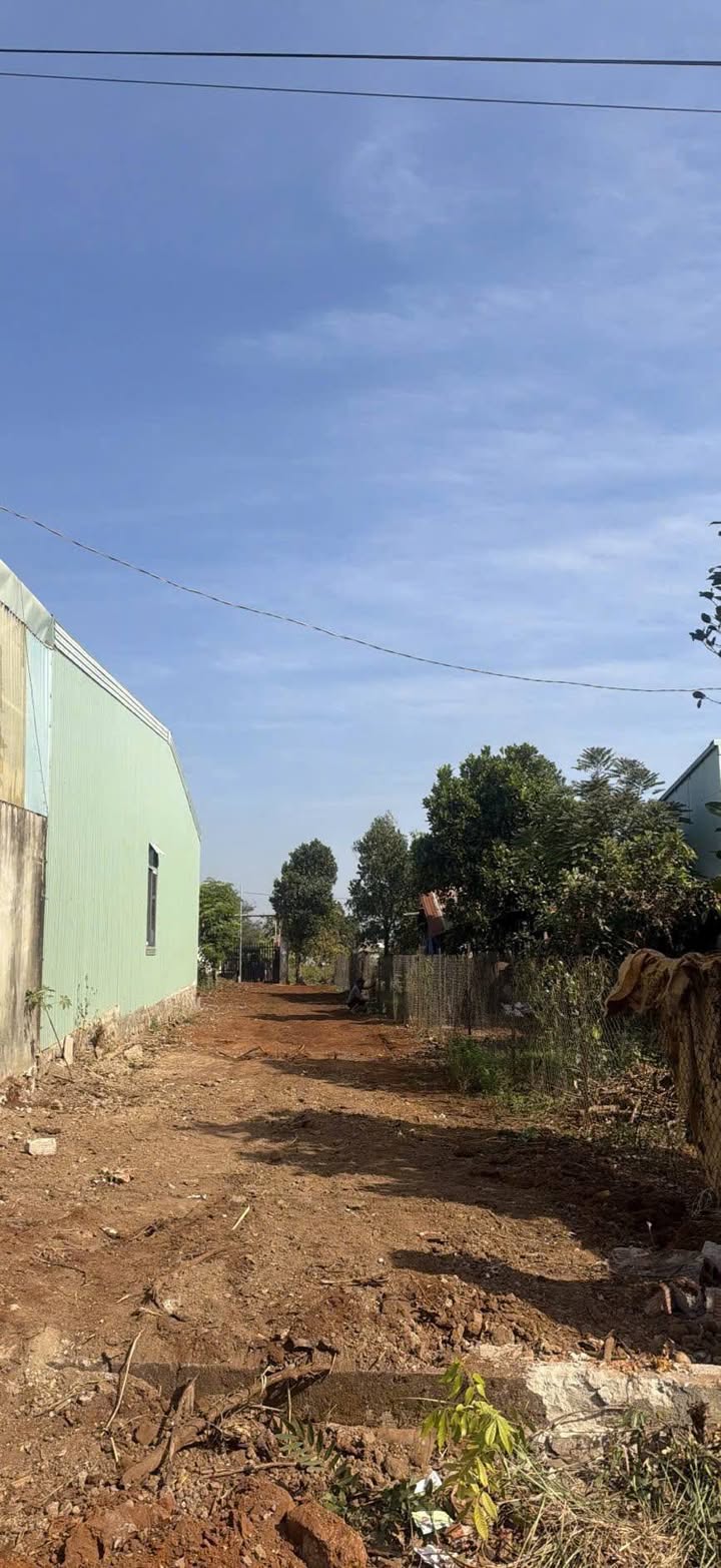 Đất nền 135m² hẻm xe hơi đường Tú Xương, Pleiku - Sổ đỏ thổ cư