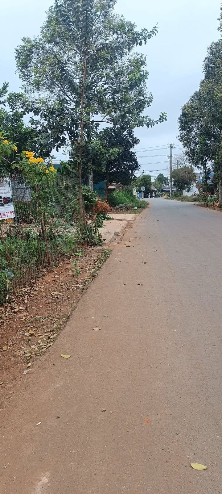 Đất nền Phan Bội Châu, Buôn Ma Thuột 400m² - Đất thổ cư 100%!