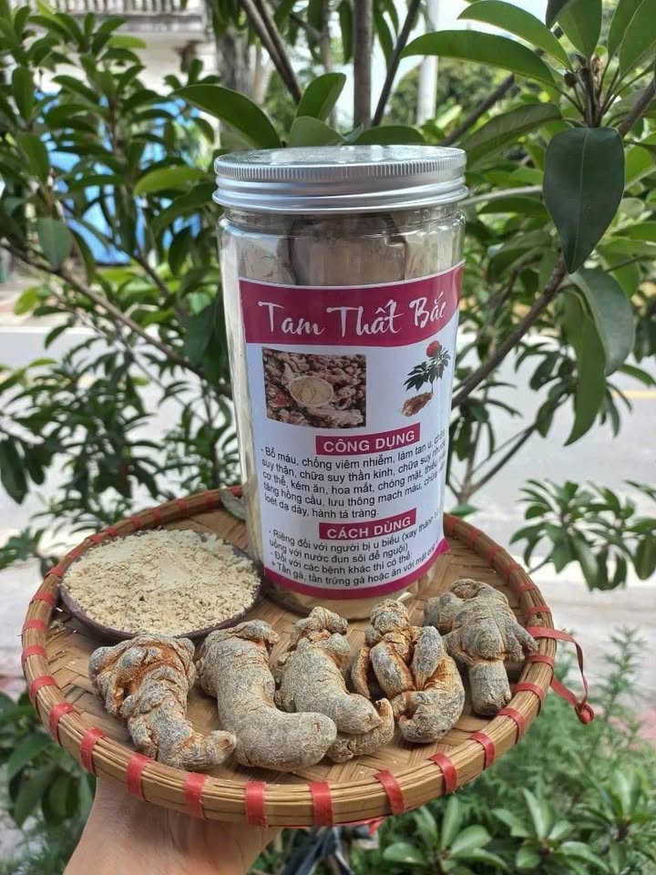 Đất nền Kon Tum 200m² - Sổ đỏ chính chủ, mặt tiền đường nhựa!