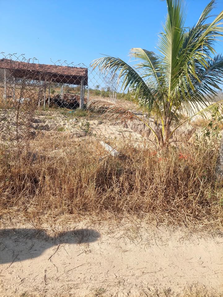 Đất nền Thôn 5 Đoàn Kết Sa Thầy 250m² - Sổ đỏ chính chủ, chỉ 2xx triệu