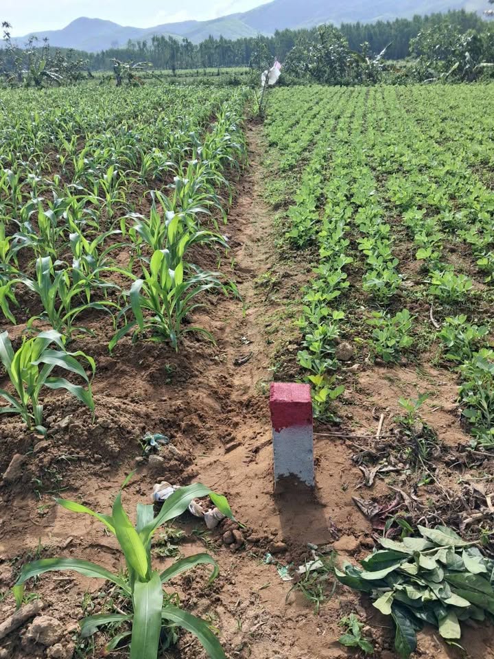 Farmview Siêu Đẹp Xã Hành Nhân, Nghĩa Hành - Sẵn Sàng Kinh Doanh Quán Chòi