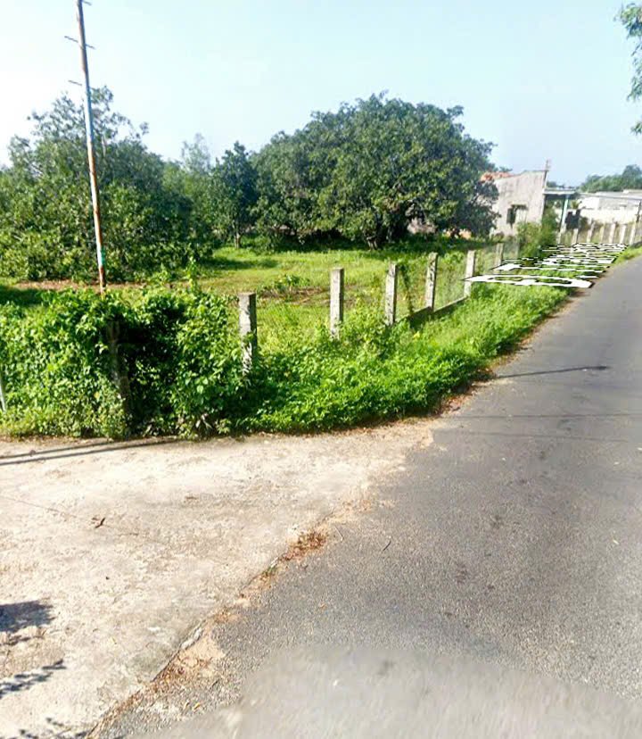 Đất Mũi Né 1100m² - Sổ Thổ Cư, Mặt Tiền 13m - Giá Đầu Tư 1.x Tỷ