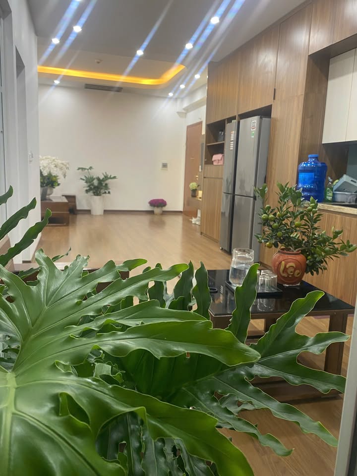 Căn hộ Tiến Bộ A7 - Full nội thất, Sẵn sàng đón bạn về ở ngay!