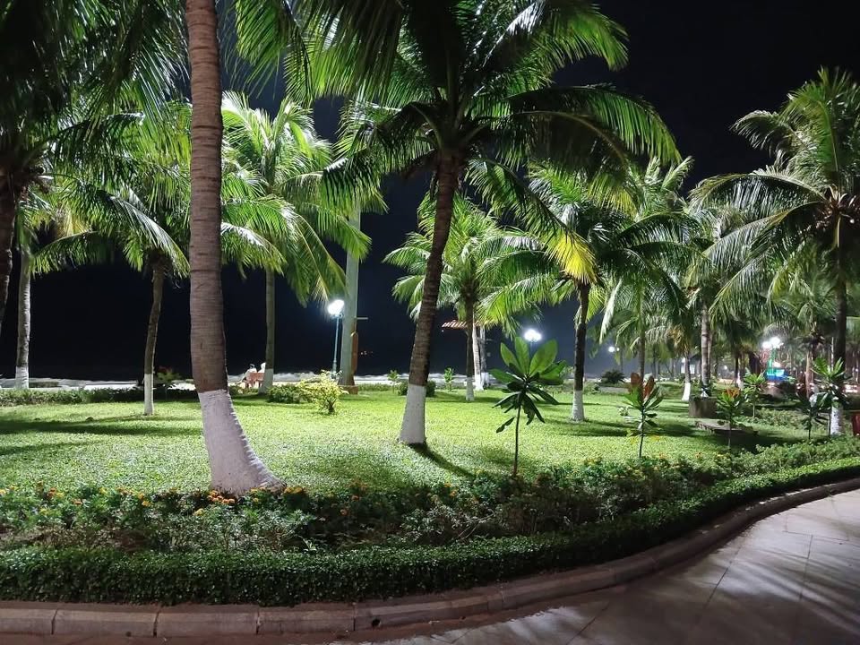 Bán nhà mặt tiền Phường Quang Trung Quy Nhơn 80.5m² giá 4.9 tỷ - Vị trí đắc địa!