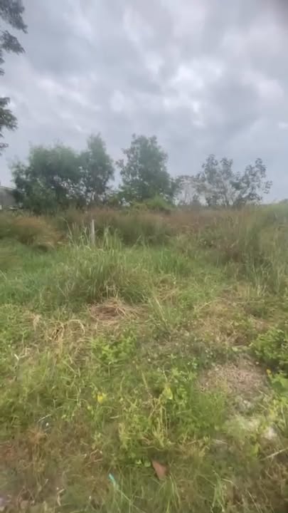 Bán Đất Mặt Tiền Lê Văn Tám, La Gi 140m² - Sổ Hồng Riêng, Giá 1.4 Tỷ