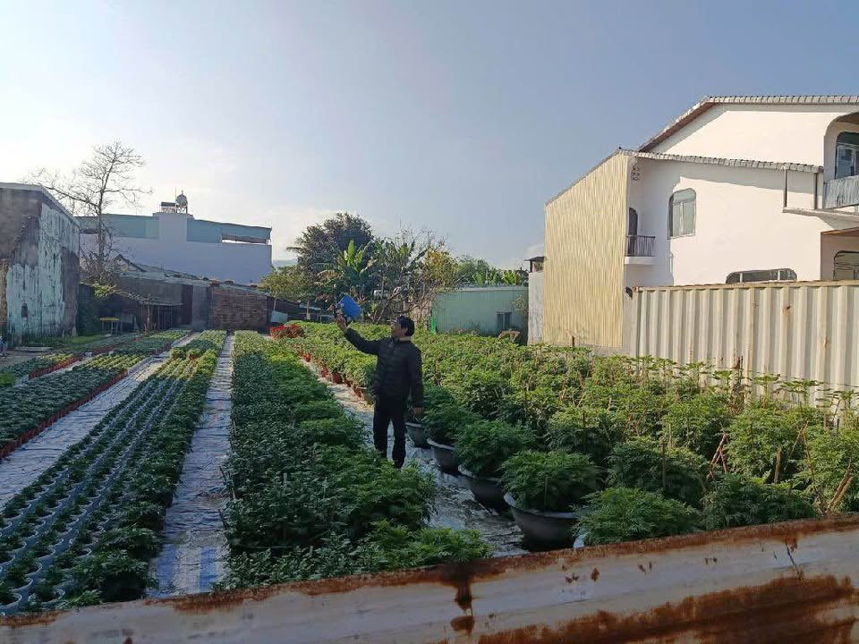 Đất nền Hòa Liên Đà Nẵng 150m² - Sổ đỏ chính chủ!