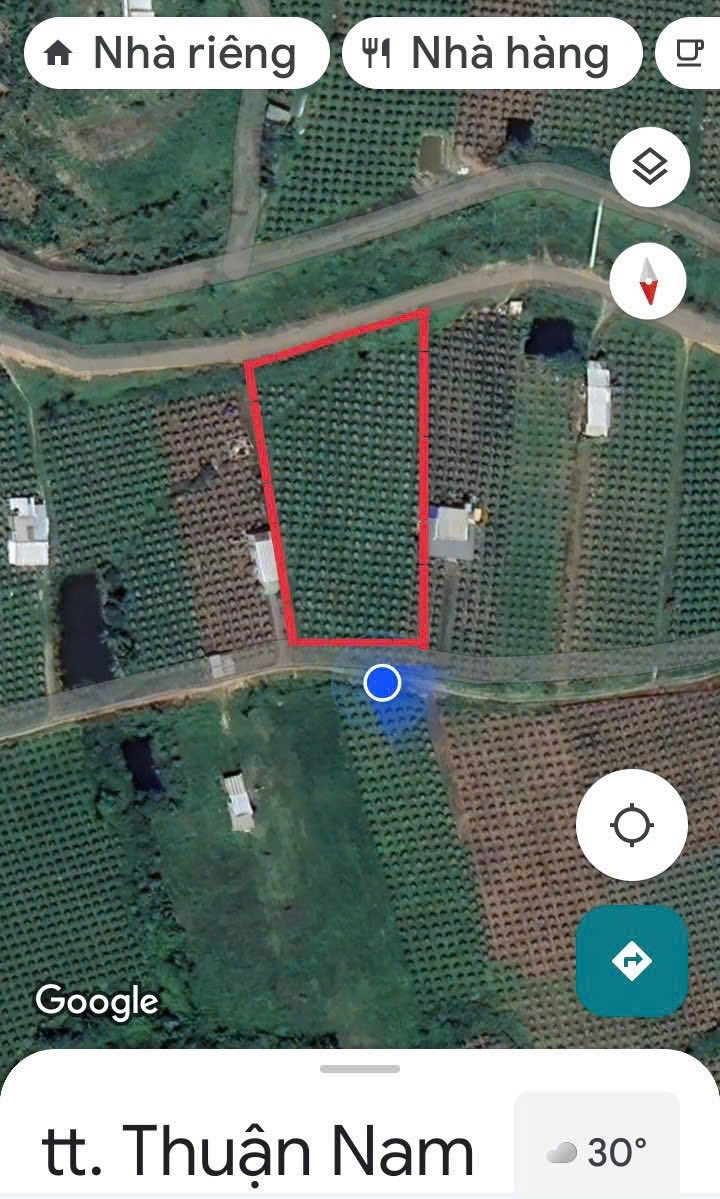 Đất vườn Hàm Thuận Nam 3300m² 990 triệu - Sổ hồng rõ ràng