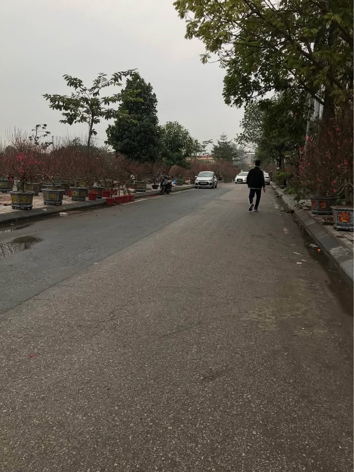 Đất Đan Phượng 68m² - Vỉa Hè 3 Ô Tô Tránh, Sổ Đỏ Sẵn Sàng