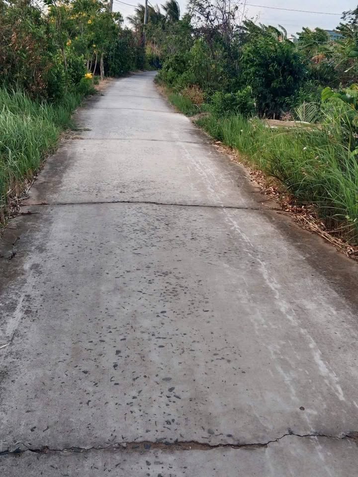 Đất nền Bình Đại 380m² giá 340 triệu - Sổ đỏ chính chủ bán gấp!