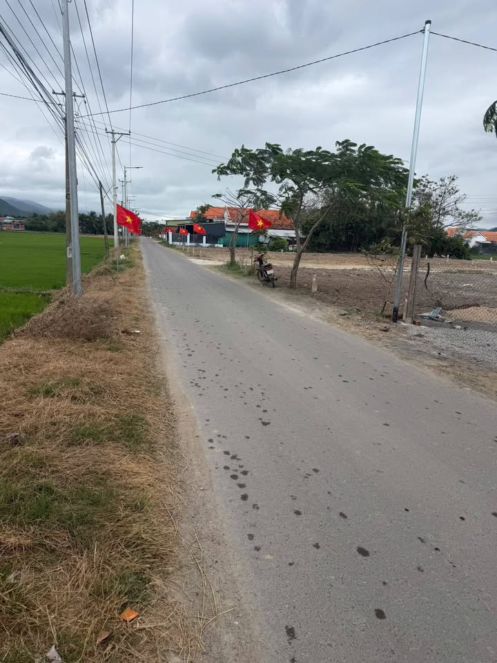 Đất Mặt Tiền Hồ Tùng Mậu, Ninh Hòa - Giá Đầu Tư Chỉ Từ 459 Triệu