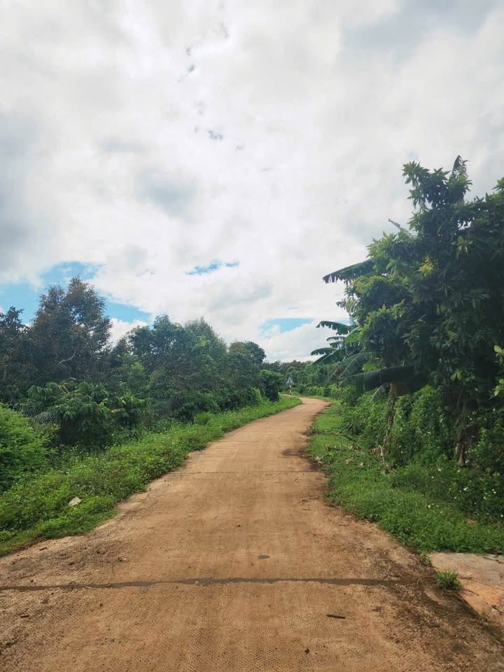 Đất Vườn Ea Kao Buôn Ma Thuột 5138m² Giá 2.03 Tỷ - Đầu Tư Dài Hạn