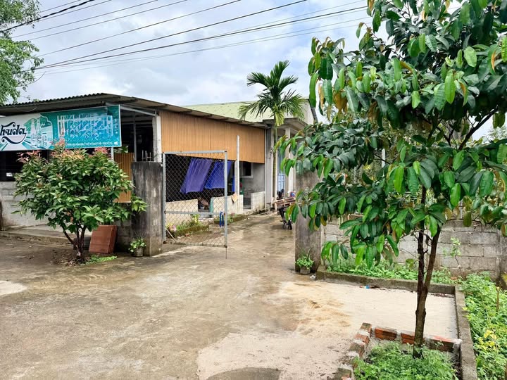 Nhà riêng Cổ By Phong Sơn 560m² - Giá tốt hiếm có chỉ từ 8xx triệu