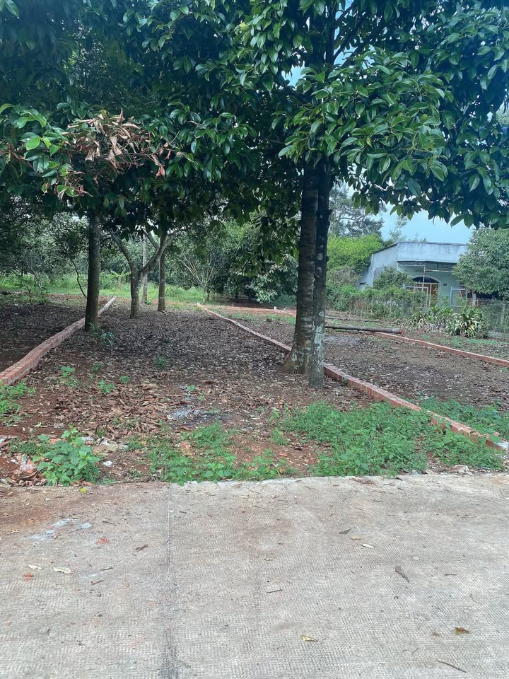 Đất nền Bình Lộc Long Khánh 145m² giá 500 triệu - Sổ hồng sẵn!