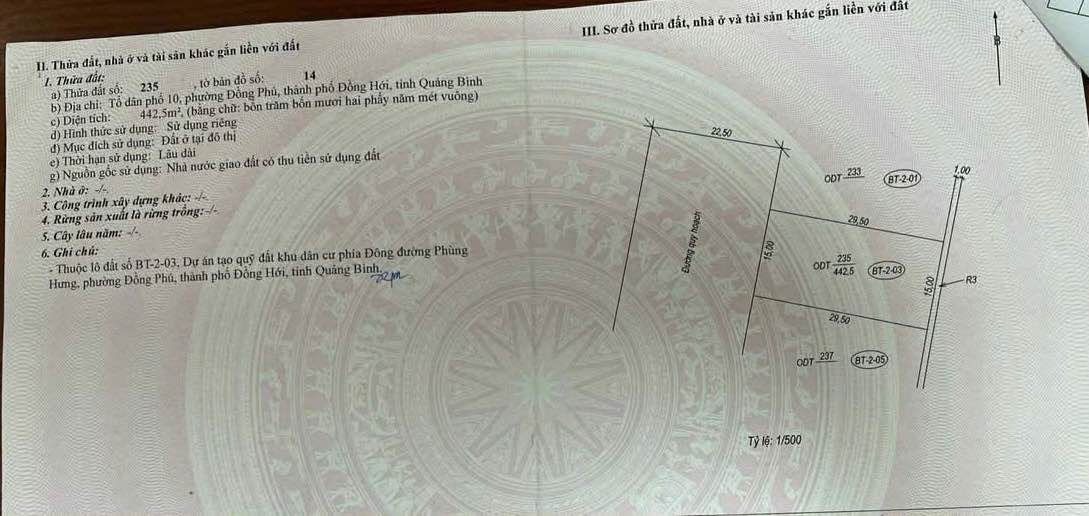 Biệt thự Đông Phùng Hưng 442m² hướng Tây Bắc - Sẵn sàng đón chủ mới