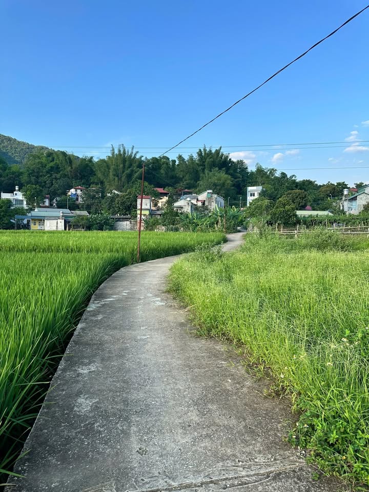 Bán đất vườn Ngọc Xuân TP Cao Bằng 123m² giá 3xx triệu - Sổ đỏ sẵn