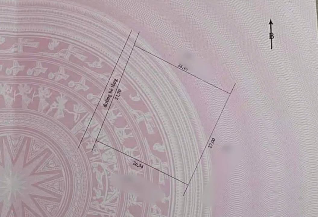 Đất nền Xã Tân Phong Cai Lậy 747m² - Tiềm năng tăng giá!