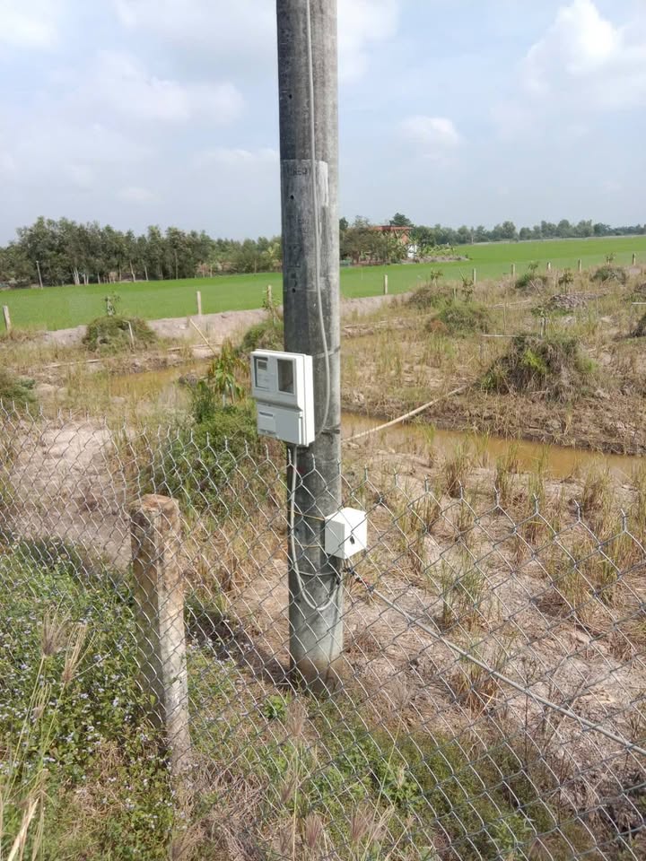 Bán Gấp Đất Vườn Sầu Riêng 5000m² Thiện Trung, Cái Bè - Giá 2.6 Tỷ