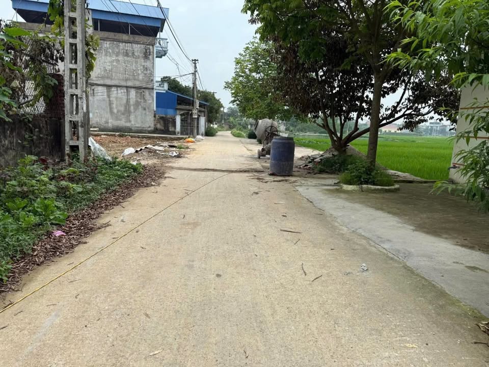 Đất nền Bắc Lý 133m² - Sổ đỏ chính chủ, đường ô tô tránh!