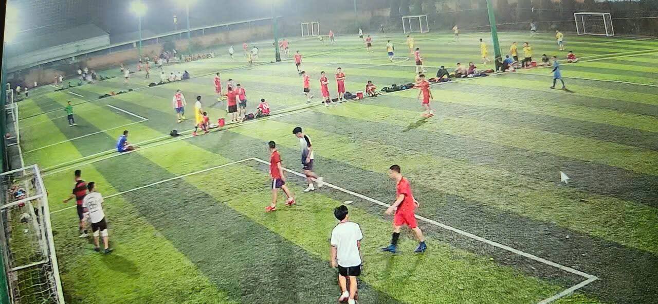 Đất Vàng 9800m² Kinh Doanh Sân Bóng, Pickleball - Việt Trì, Phú Thọ