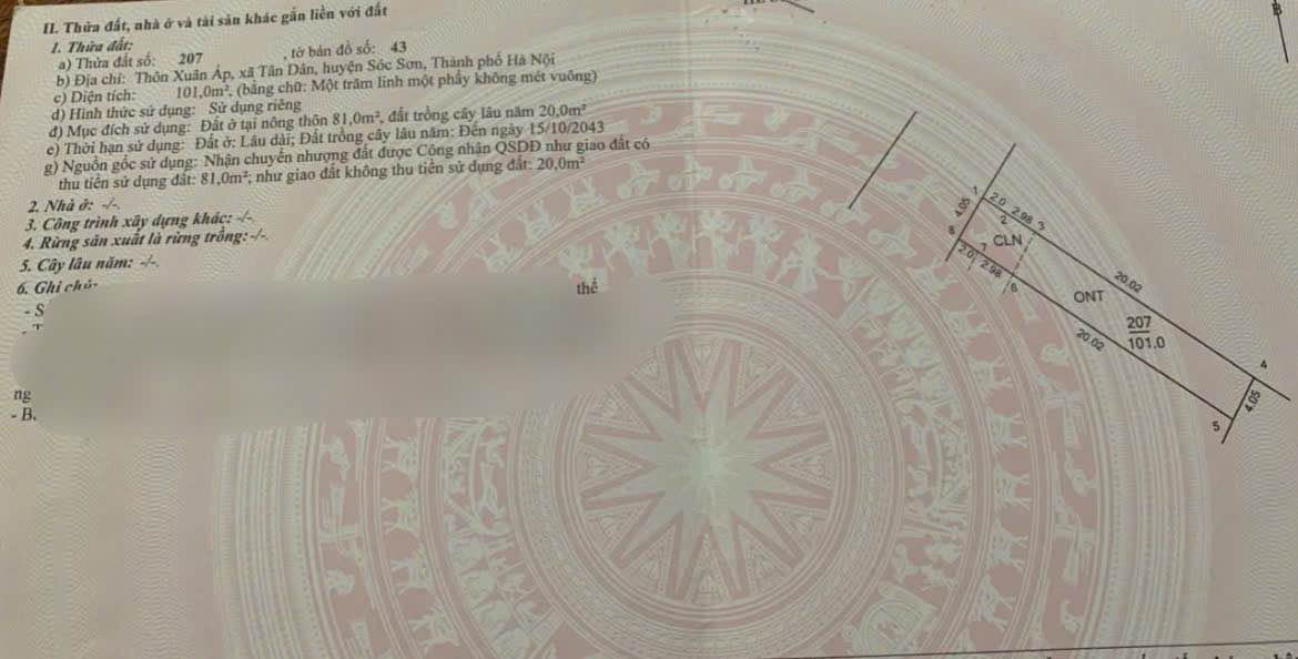 Đất nền Xuân Ấp Đông Anh 101m² - Mặt tiền 4.05m, Kinh doanh đắc lợi