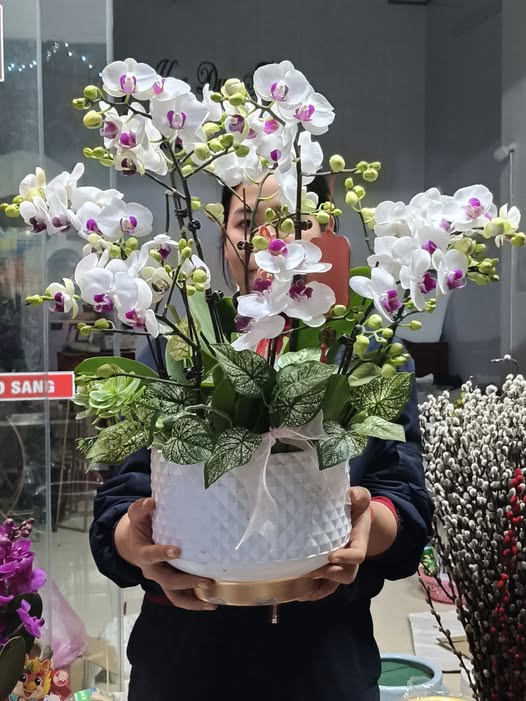 Đất Farm Vĩnh Lộc Thanh Hoá 1.5ha - Giá đầu tư tốt!