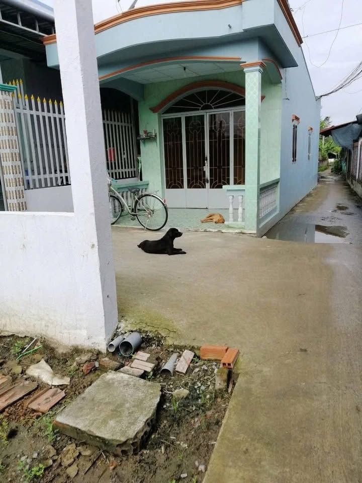 Nhà cấp bốn Quận 10 53m² giá 850 triệu - Giá tốt hiếm có!