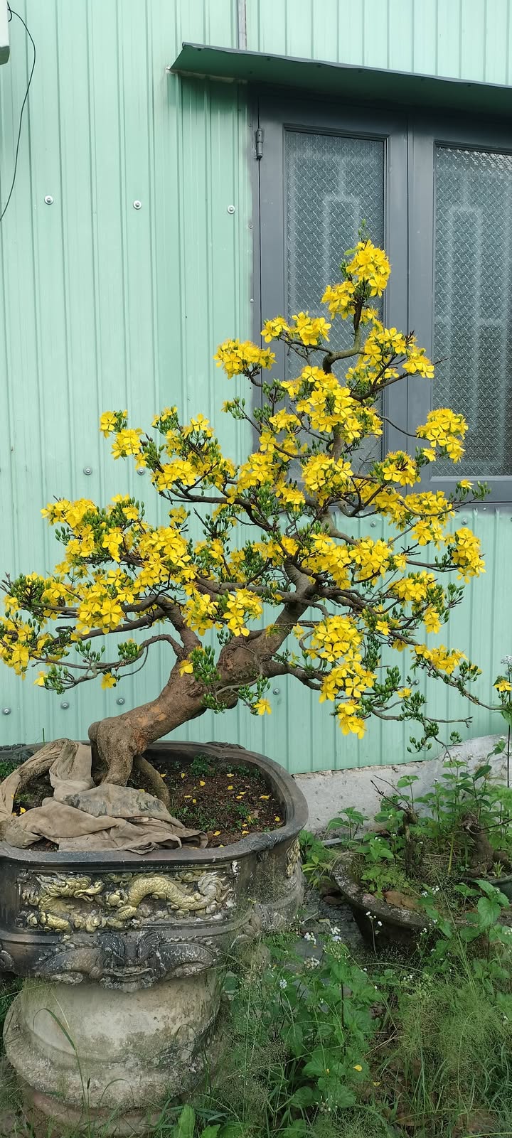 Đất nền Đại Lộc 100m² - Đường ô tô vào tận nơi, tiềm năng sinh lời!