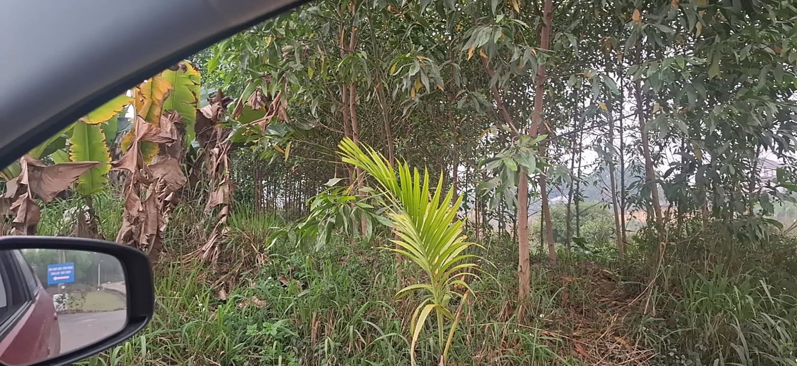 Đất nền Thái Hải, Thái Nguyên 225m² - Tiềm năng tăng giá vượt trội!