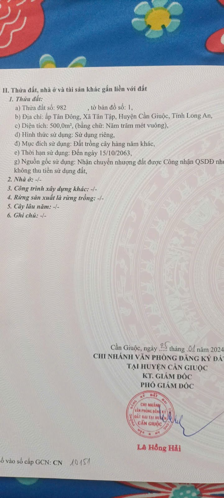 Đất vườn Cần Giuộc 500m² giá 399 triệu - Nghỉ dưỡng lý tưởng!