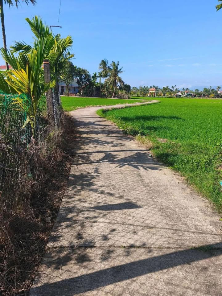 Đất Vườn Điền Trang 512m² - Giá 800 Triệu/Thương Lượng Tại Nghĩa Trung