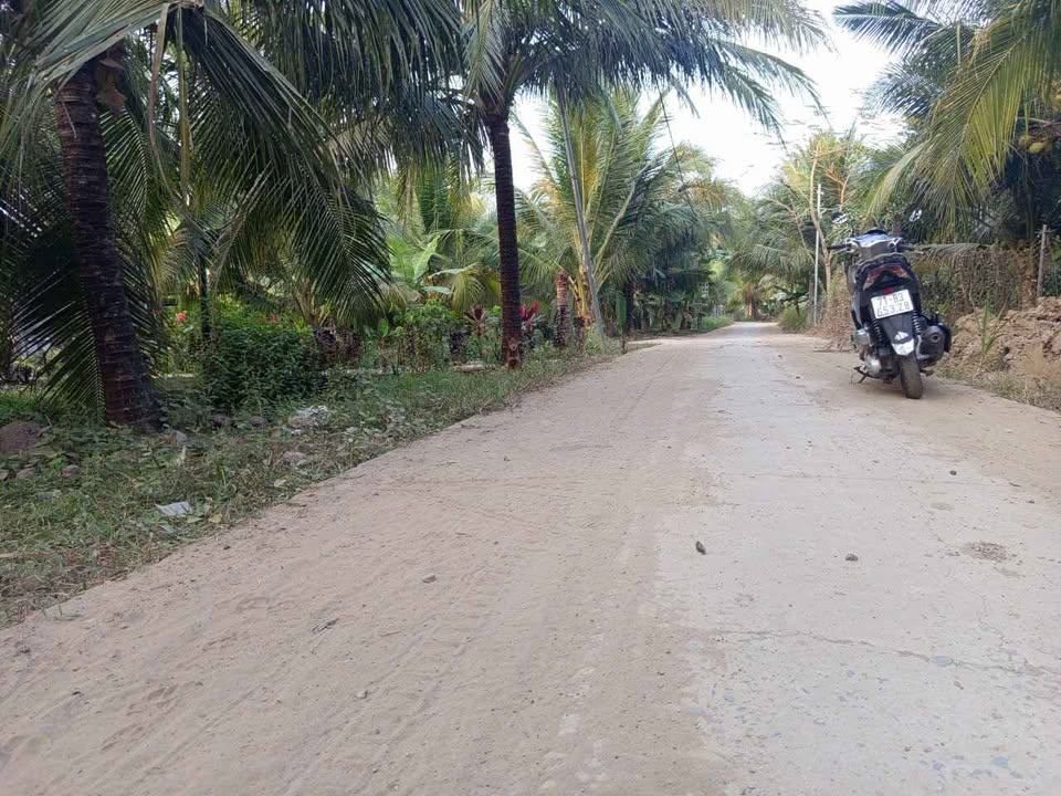 Đất nền An Phước 700m² - Đường ô tô tải, tiềm năng tăng giá!