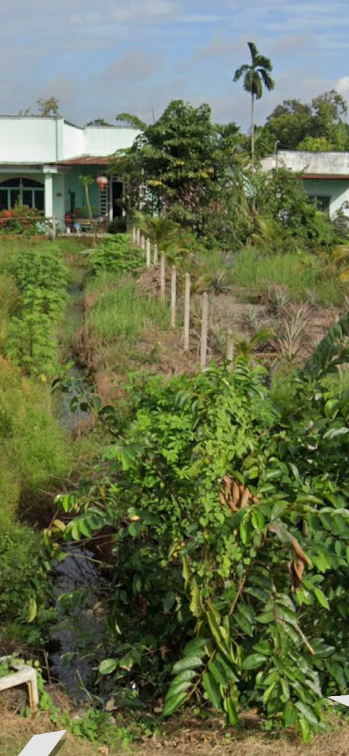 Nhà Mặt Tiền Đường Nhựa Trung An, Củ Chi - 900m² Giá 7.5 Tỷ