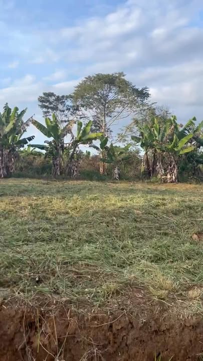 Đất nền Lộc An Bảo Lâm 450m² 1.038 tỷ - Lô góc 2 mặt tiền cực đẹp