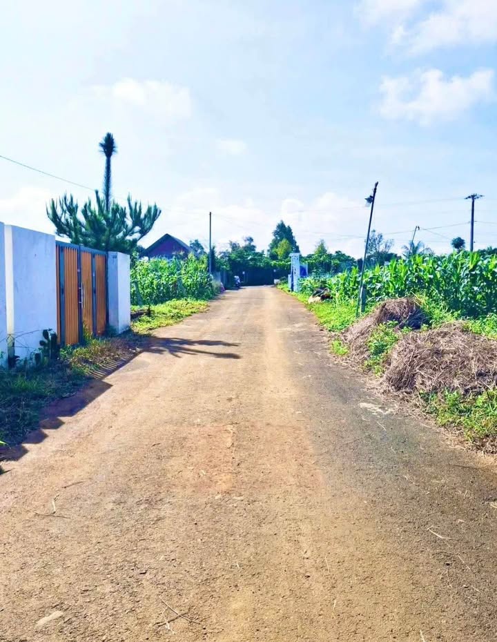 Bán Đất Thổ Cư 220m² Mặt Tiền Hẻm 134 Phùng Hưng, Bảo Lộc - Sổ Đỏ Sẵn Sàng