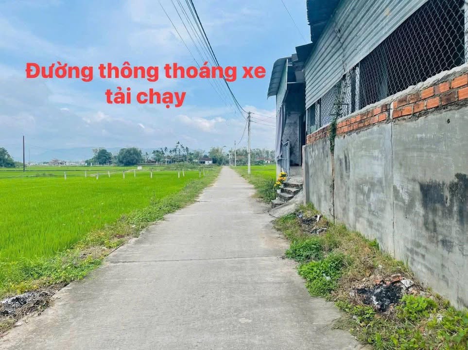 Đất Đấu Giá Luật Bình - Tuy Phước: Lô Góc 73m² & Lô Ống 91m² Giá Tốt