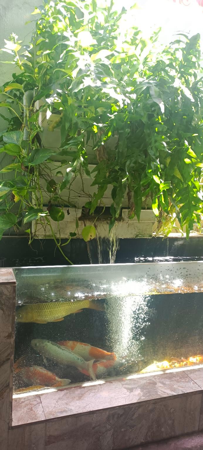 Đất nền Xã Phước Mỹ, Quy Nhơn 660m² - Sổ đỏ chính chủ!