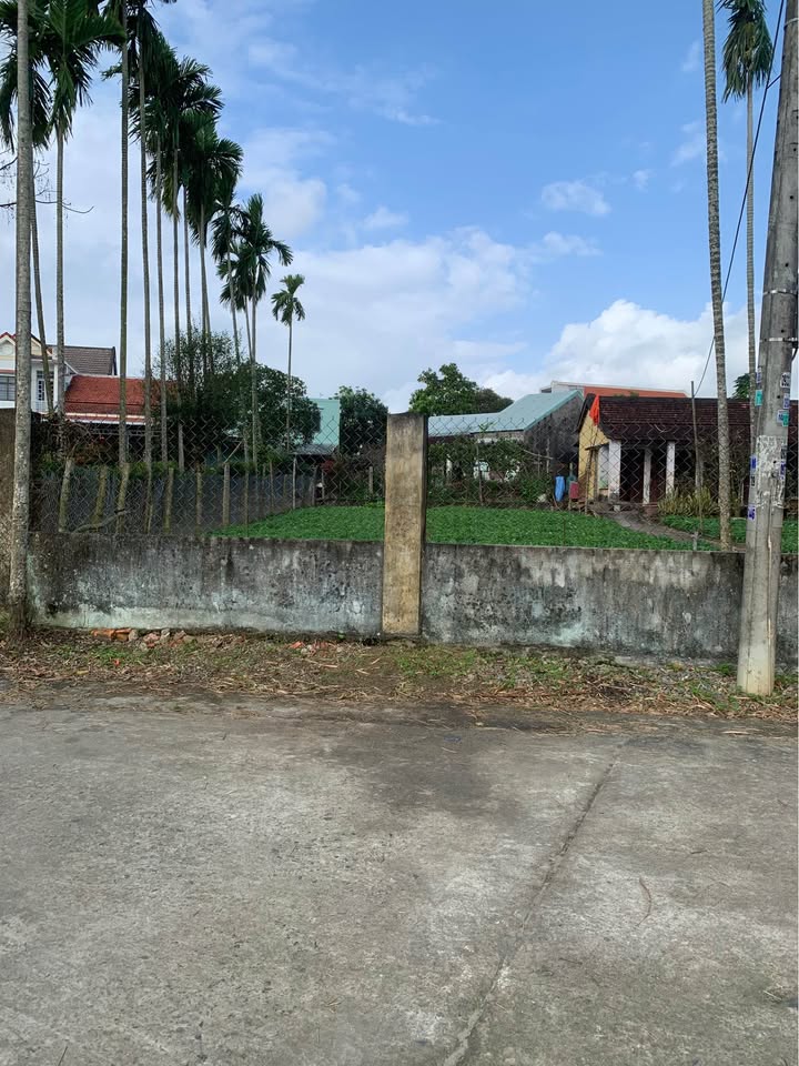 Bán đất vườn Điện Thắng Bắc 242m² giá 2.35 tỷ - Nghỉ dưỡng lý tưởng!