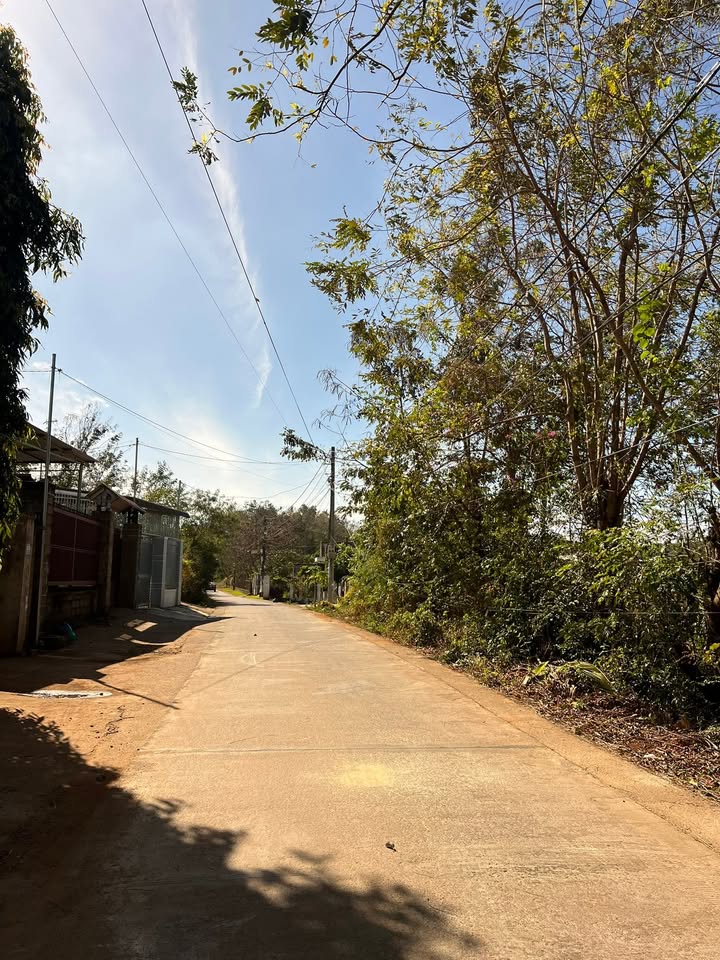 Đất nền Buôn Ma Thuột 390m² - Sổ đỏ chính chủ, đường ô tô 8m!